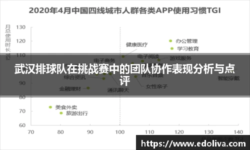 武汉排球队在挑战赛中的团队协作表现分析与点评